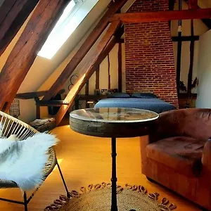  Appartement Loft De Charme á 150m De La Cathédrale France